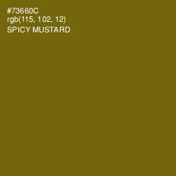 #73660C - Spicy Mustard Color Image